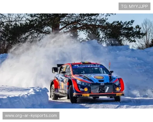 WRC文化交流：世界各地的拉力魅力，世界著名拉力赛道